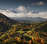 Palenica