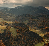 Palenica