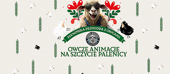 Pienińska przygoda z owcami - REDYK 2025