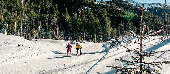 Nartostrada do Kuźnic - ZAMKNIĘTA 