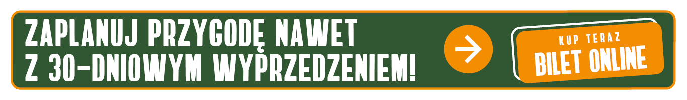 baner_kup bilet_2
